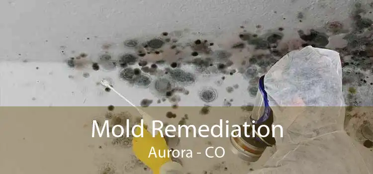 Mold Remediation Aurora - CO