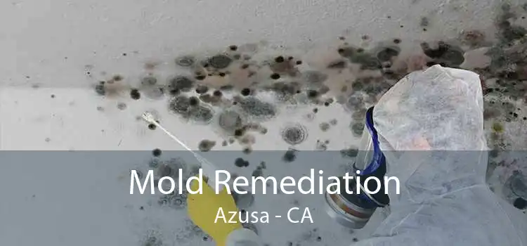 Mold Remediation Azusa - CA