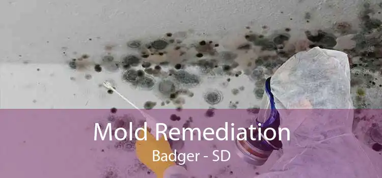 Mold Remediation Badger - SD
