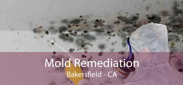 Mold Remediation Bakersfield - CA