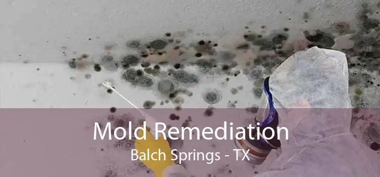 Mold Remediation Balch Springs - TX