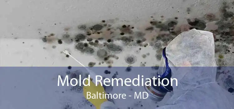Mold Remediation Baltimore - MD