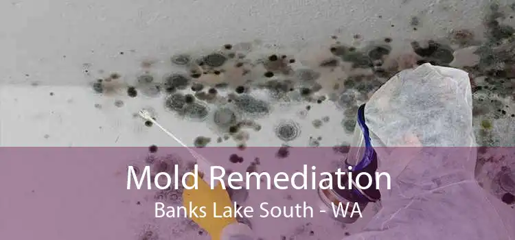 Mold Remediation Banks Lake South - WA