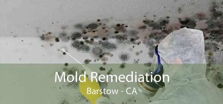 Mold Remediation Barstow - CA