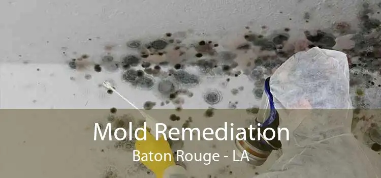 Mold Remediation Baton Rouge - LA
