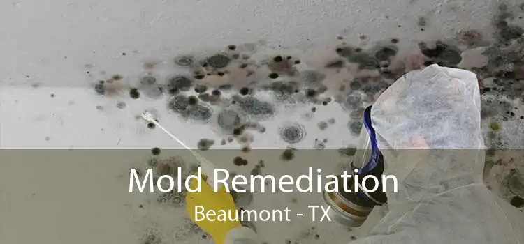 Mold Remediation Beaumont - TX