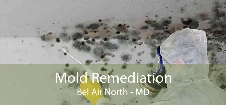 Mold Remediation Bel Air North - MD