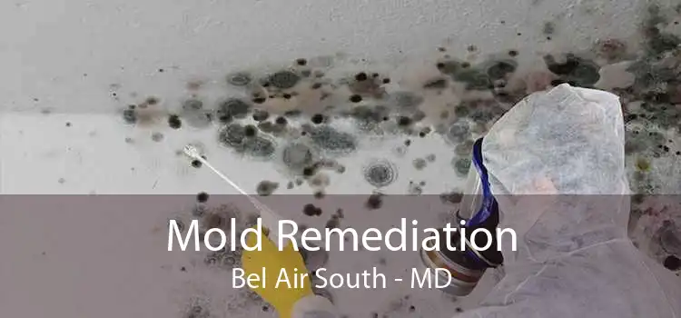 Mold Remediation Bel Air South - MD
