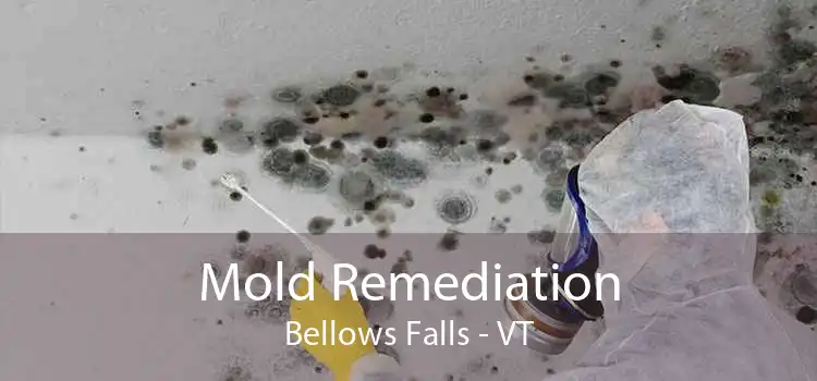 Mold Remediation Bellows Falls - VT