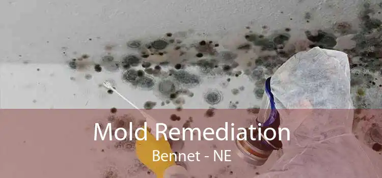 Mold Remediation Bennet - NE
