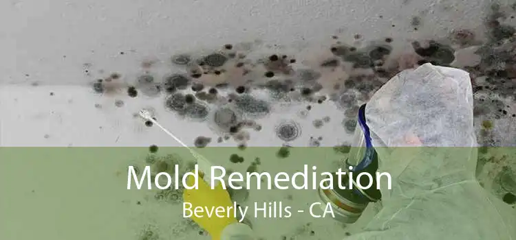 Mold Remediation Beverly Hills - CA