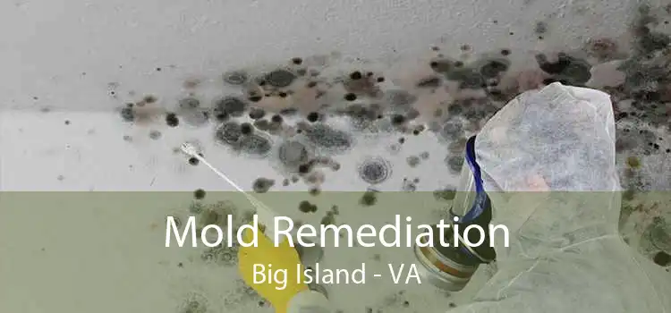 Mold Remediation Big Island - VA