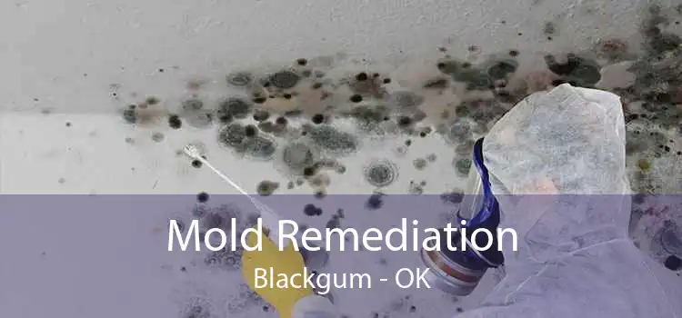 Mold Remediation Blackgum - OK