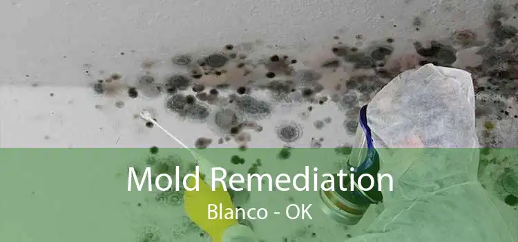 Mold Remediation Blanco - OK