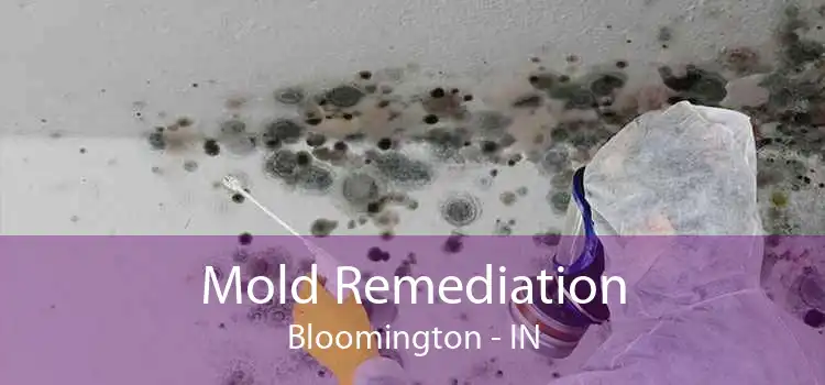 Mold Remediation Bloomington - IN
