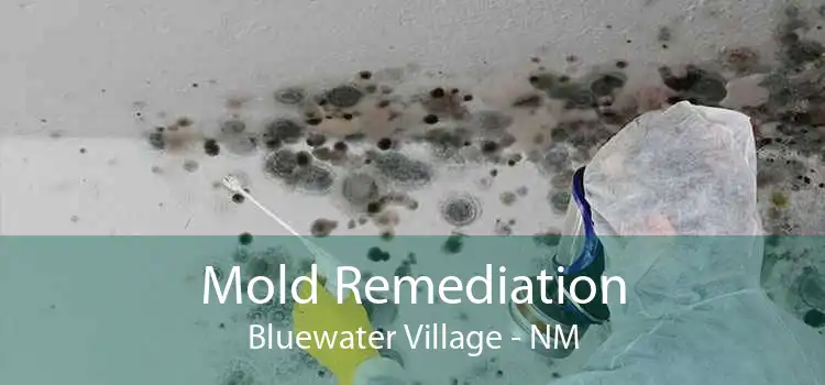 Mold Remediation Bluewater Village - NM