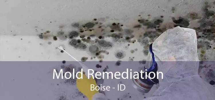 Mold Remediation Boise - ID