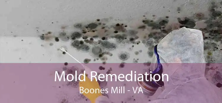 Mold Remediation Boones Mill - VA