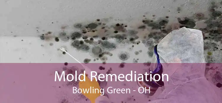 Mold Remediation Bowling Green - OH