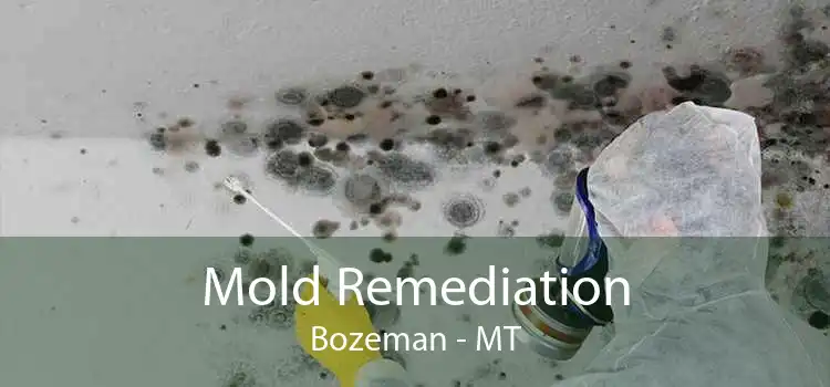 Mold Remediation Bozeman - MT