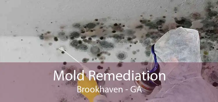 Mold Remediation Brookhaven - GA