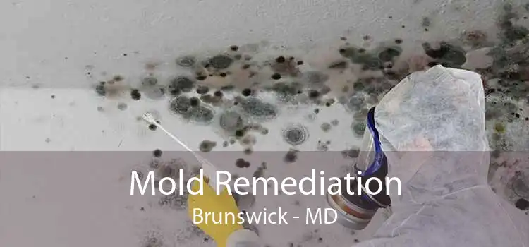 Mold Remediation Brunswick - MD