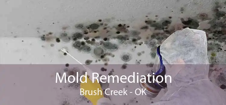 Mold Remediation Brush Creek - OK