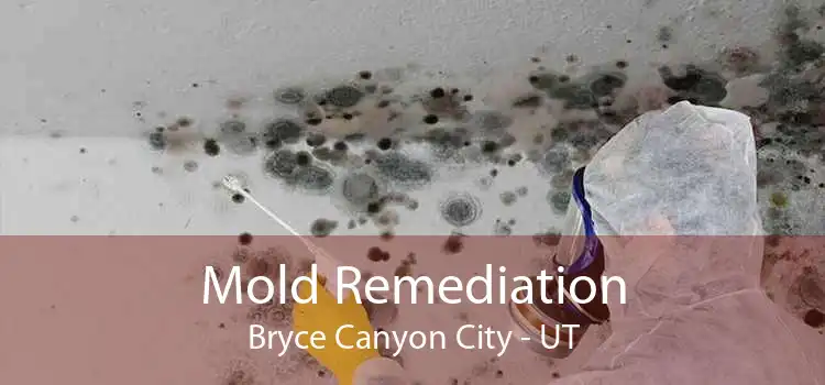 Mold Remediation Bryce Canyon City - UT