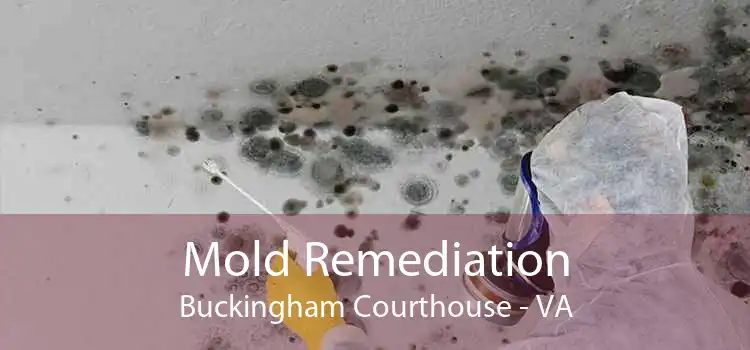 Mold Remediation Buckingham Courthouse - VA