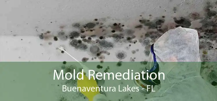 Mold Remediation Buenaventura Lakes - FL