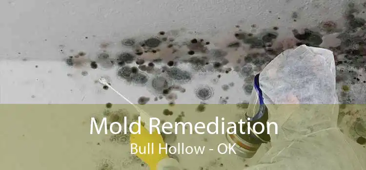 Mold Remediation Bull Hollow - OK