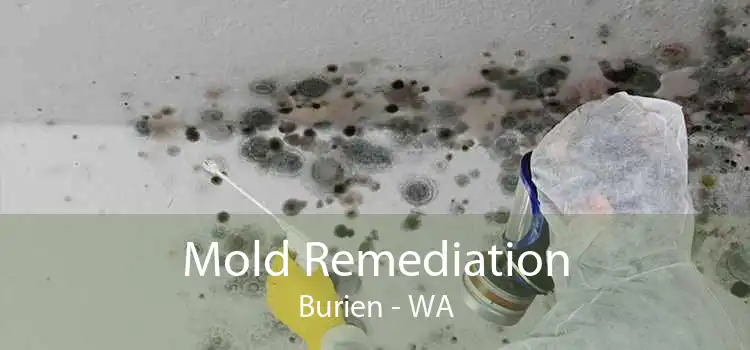 Mold Remediation Burien - WA