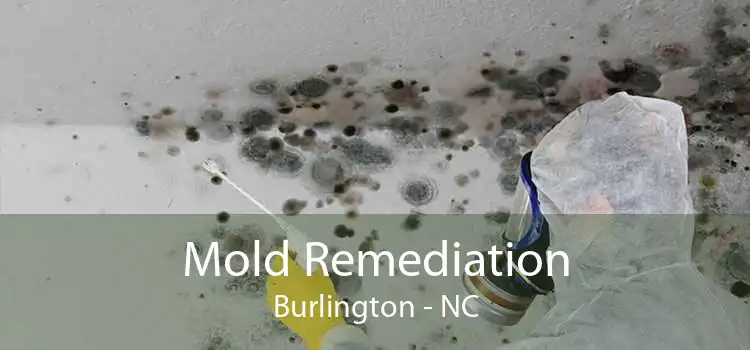 Mold Remediation Burlington - NC
