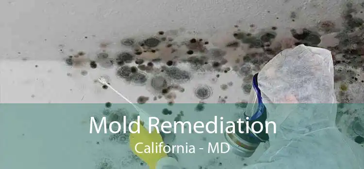 Mold Remediation California - MD