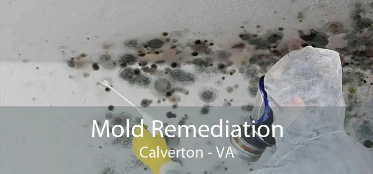 Mold Remediation Calverton - VA