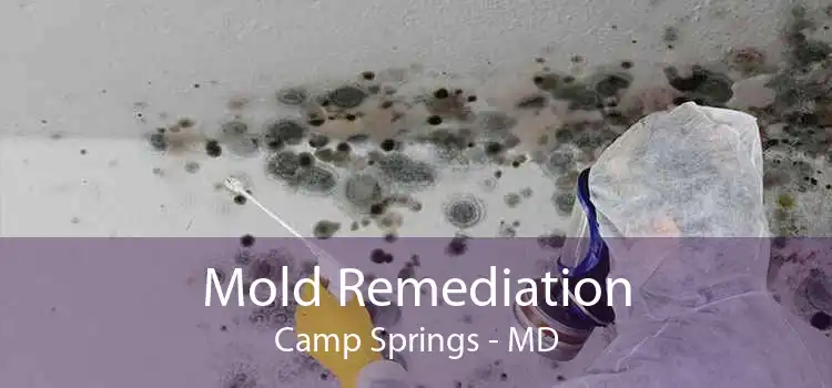 Mold Remediation Camp Springs - MD