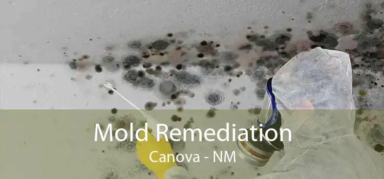 Mold Remediation Canova - NM