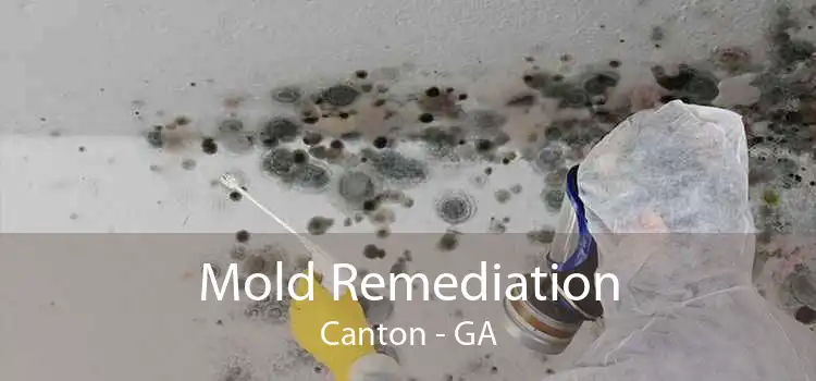 Mold Remediation Canton - GA