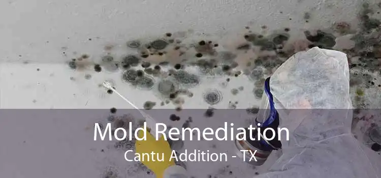Mold Remediation Cantu Addition - TX
