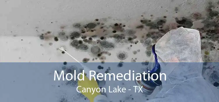 Mold Remediation Canyon Lake - TX