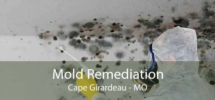 Mold Remediation Cape Girardeau - MO