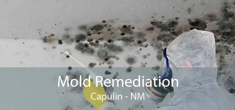 Mold Remediation Capulin - NM