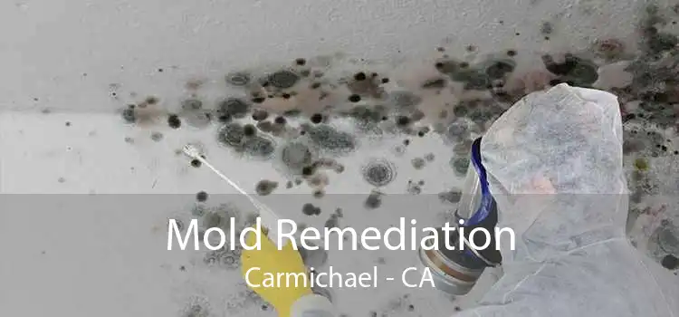 Mold Remediation Carmichael - CA