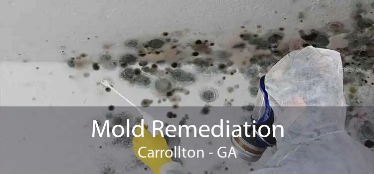 Mold Remediation Carrollton - GA