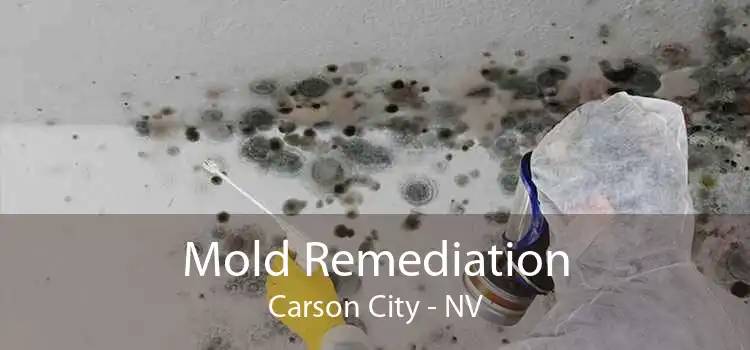 Mold Remediation Carson City - NV