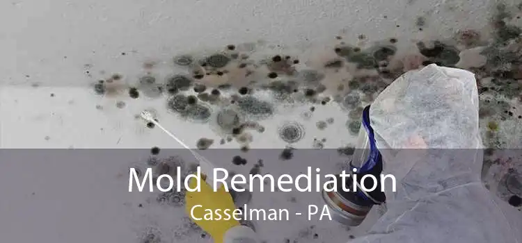 Mold Remediation Casselman - PA