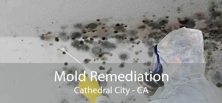 Mold Remediation Cathedral City - CA