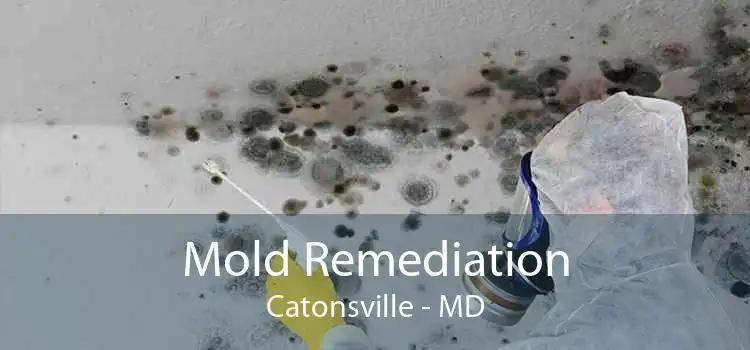 Mold Remediation Catonsville - MD