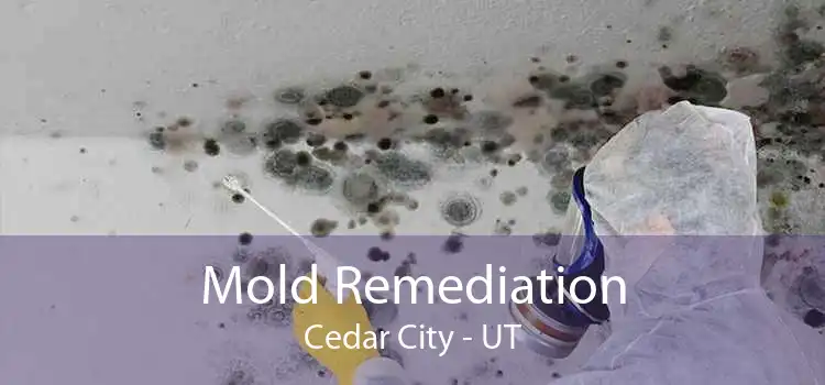 Mold Remediation Cedar City - UT