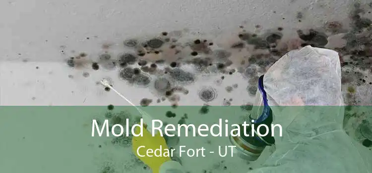 Mold Remediation Cedar Fort - UT